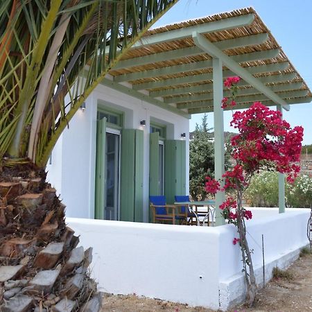 Villa Maximos House à Provatas Extérieur photo